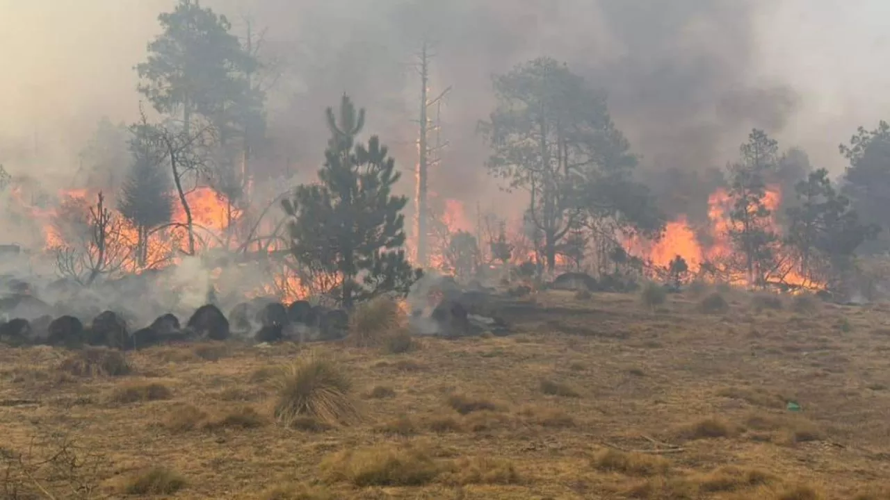 Llamas del incendio en Jilotzingo amenazan con consumir casas de la zona boscosa