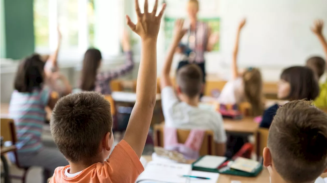 'Wie am Basar': Wiener Schulen vor Wahl aufgeteilt