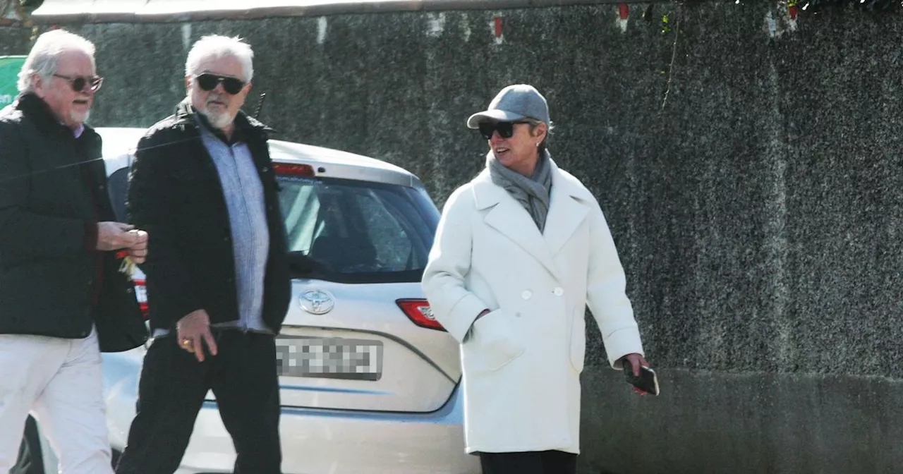 Ex-RTE chair views €3m mansions in first public sighting since Oireachtas snub