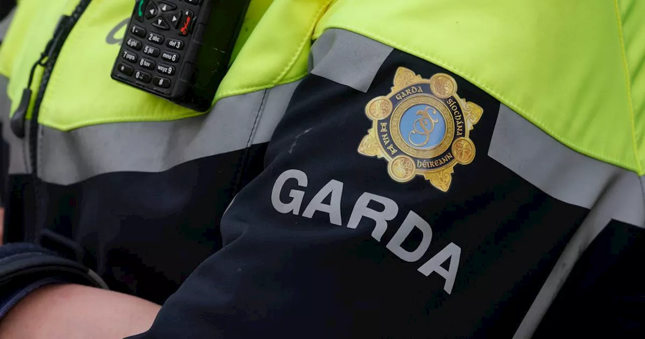 Bizarre case of the garda, pensioner and bicycle a gift to those resisting reform