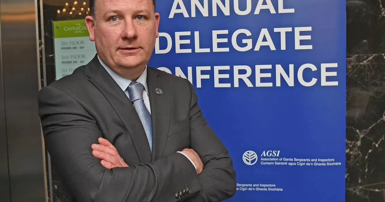 Garda numbers need to reach 18,000 to cope with demands, says Agsi