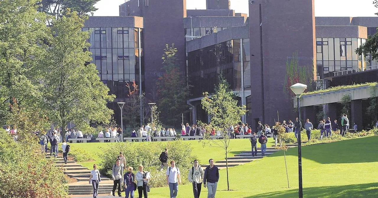 University of Limerick overpaid €5.2m on student housing project, says president