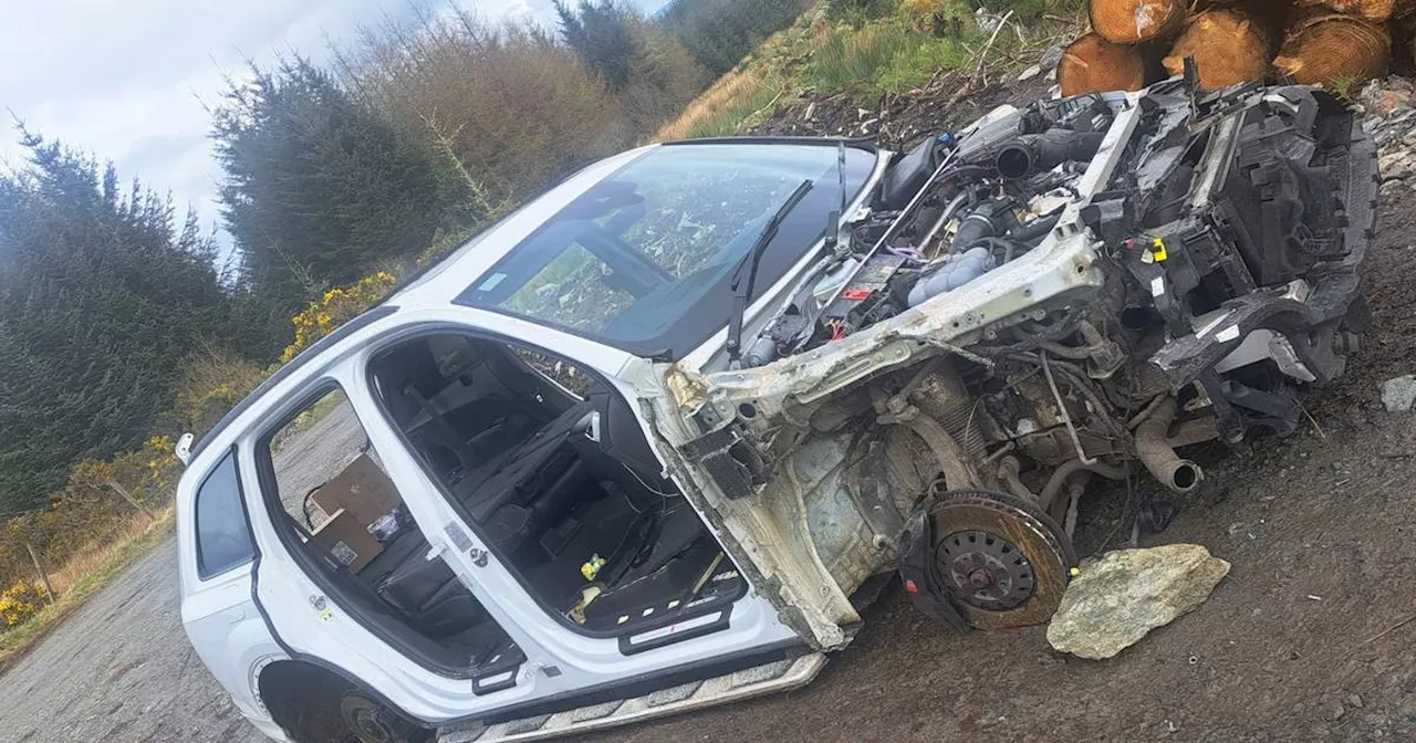 Vehicle stripped of its engine, wheels and doors in ‘well-planned’ cross-Border theft