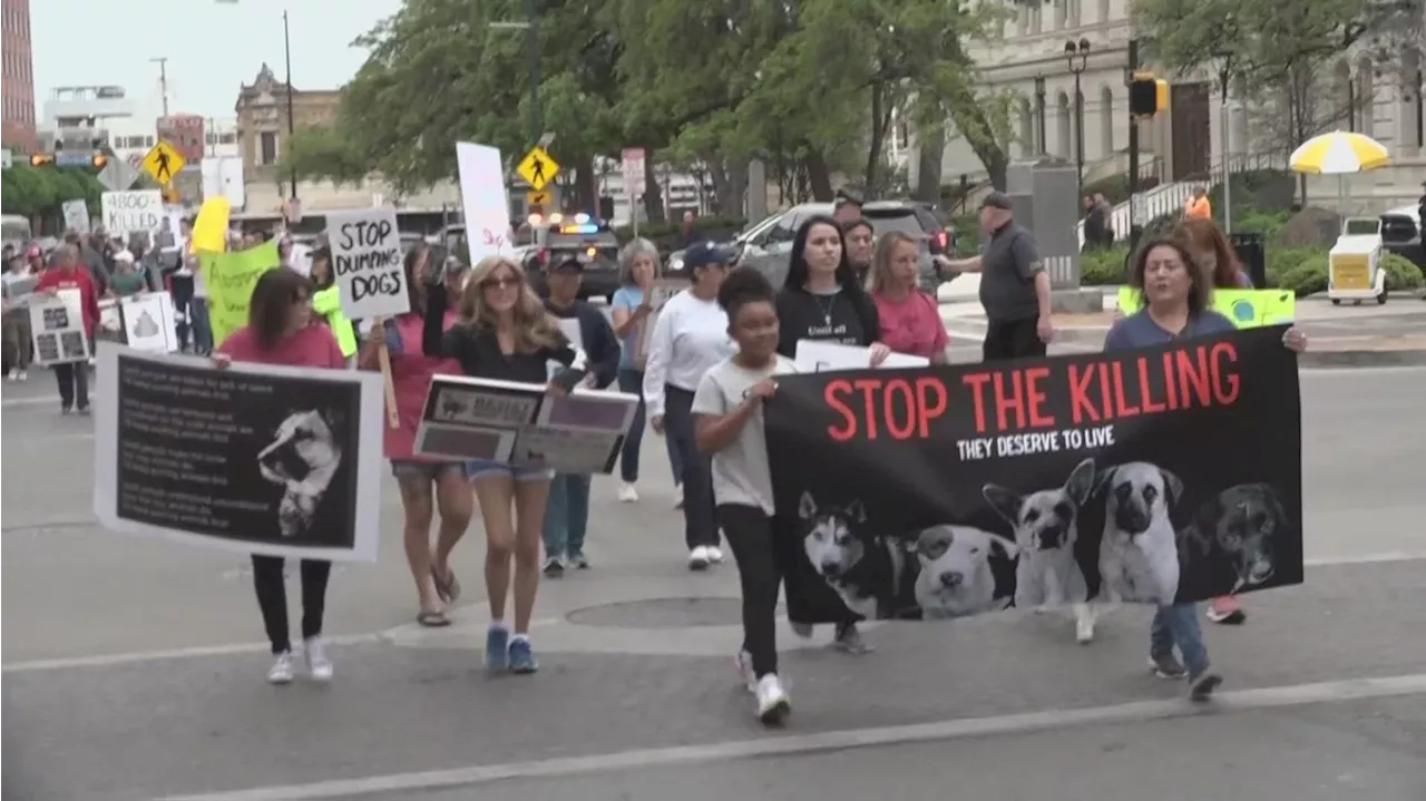 Animal advocates march the streets of downtown to raise awareness and call for change