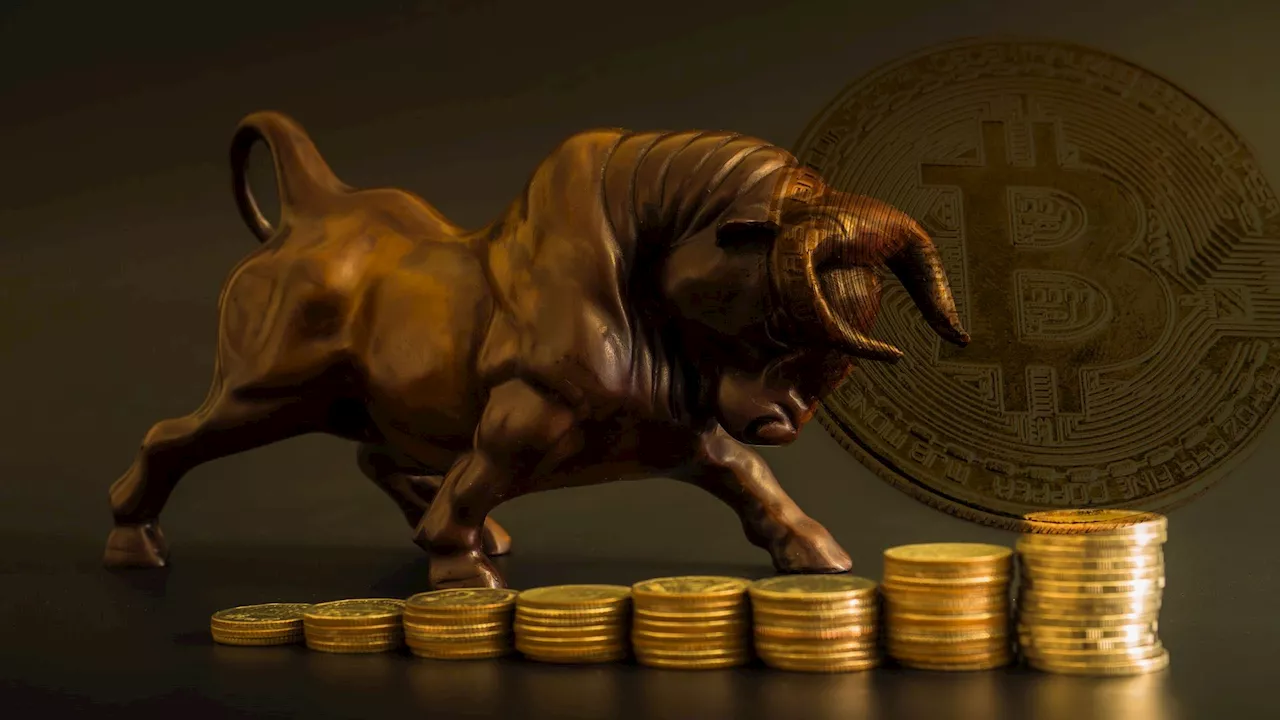 Crypto bulls return as Bitcoin spikes above $71k, altcoins record double-digit gains