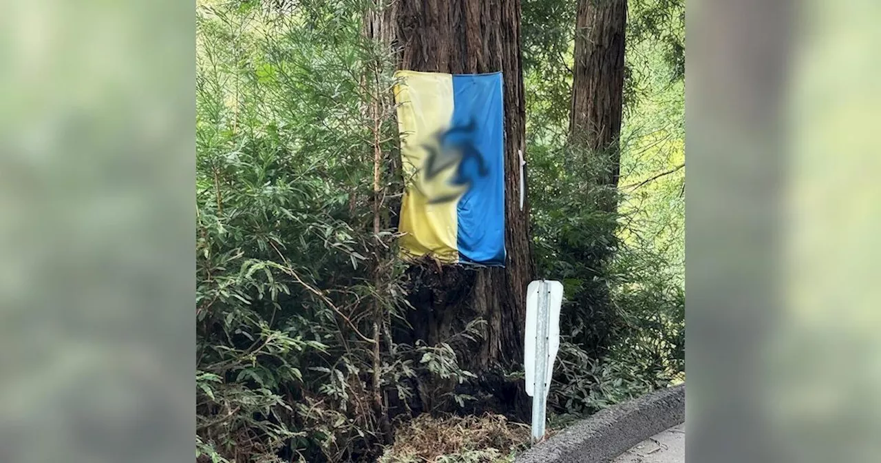 Ukrainian flags on Mill Valley homes defaced with swastikas