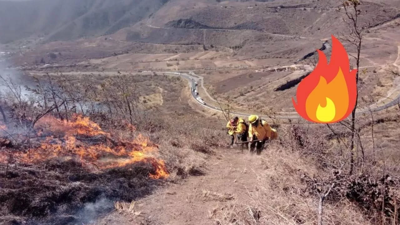 Múltiples incendios movilizan a autoridades en las Altas Montañas; controlan uno en Maltrata