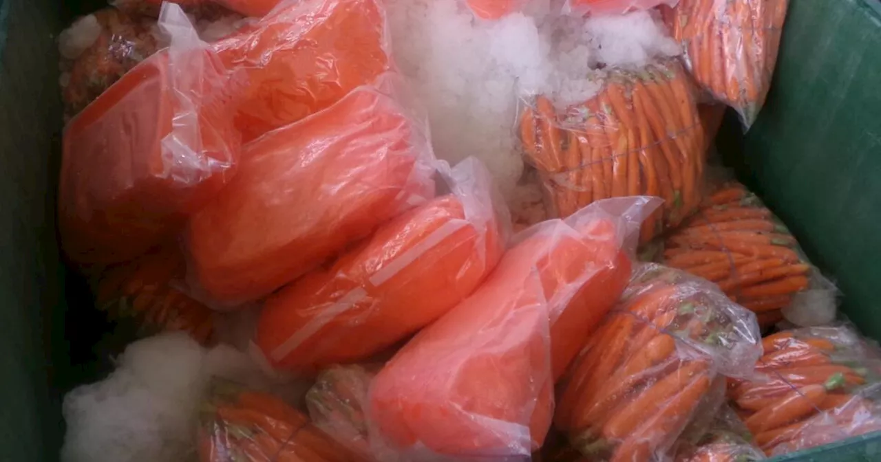 Nearly 3,000 pounds of methamphetamine found in carrot shipment at U.S.-Mexico border