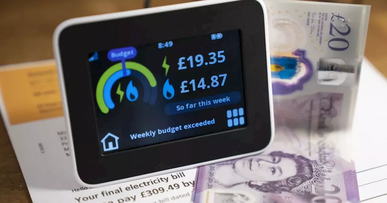 British Gas, EDF, EOn and Octopus energy customers given £238 boost from Monday