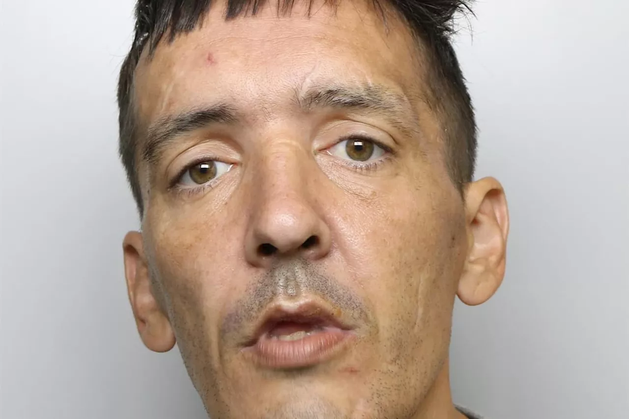 Shoplifter attacked passer-by who filmed altercation with Wakefield store worker