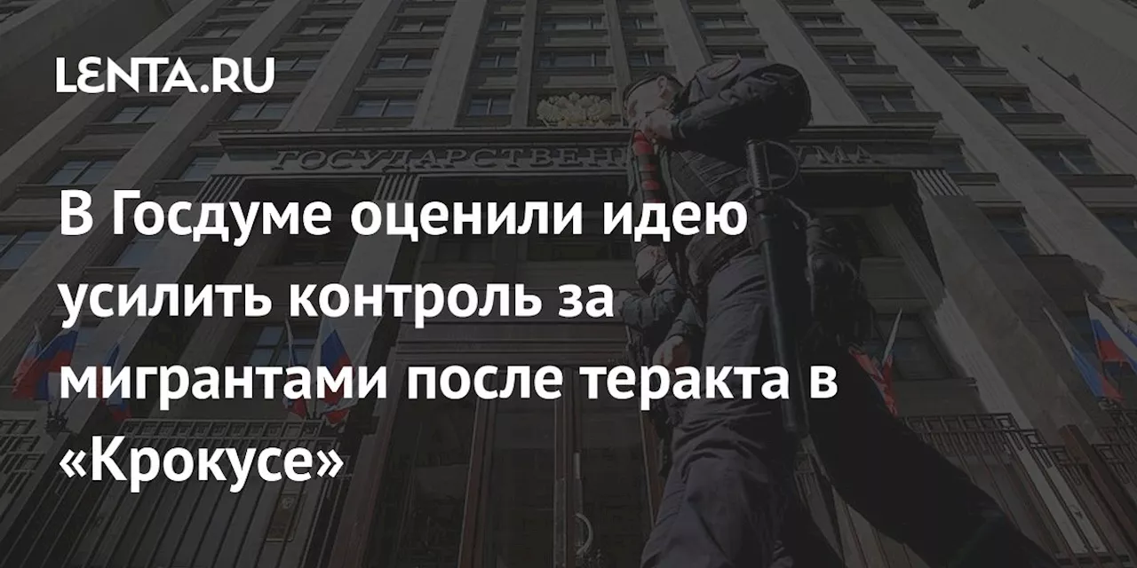 В Госдуме оценили идею усилить контроль за мигрантами после теракта в «Крокусе»