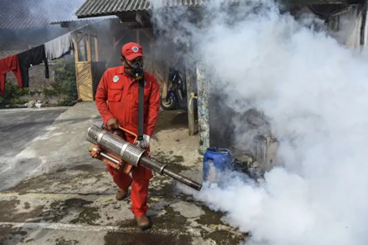 Kasus DBD di Kota Tasikmalaya terus Meningkat