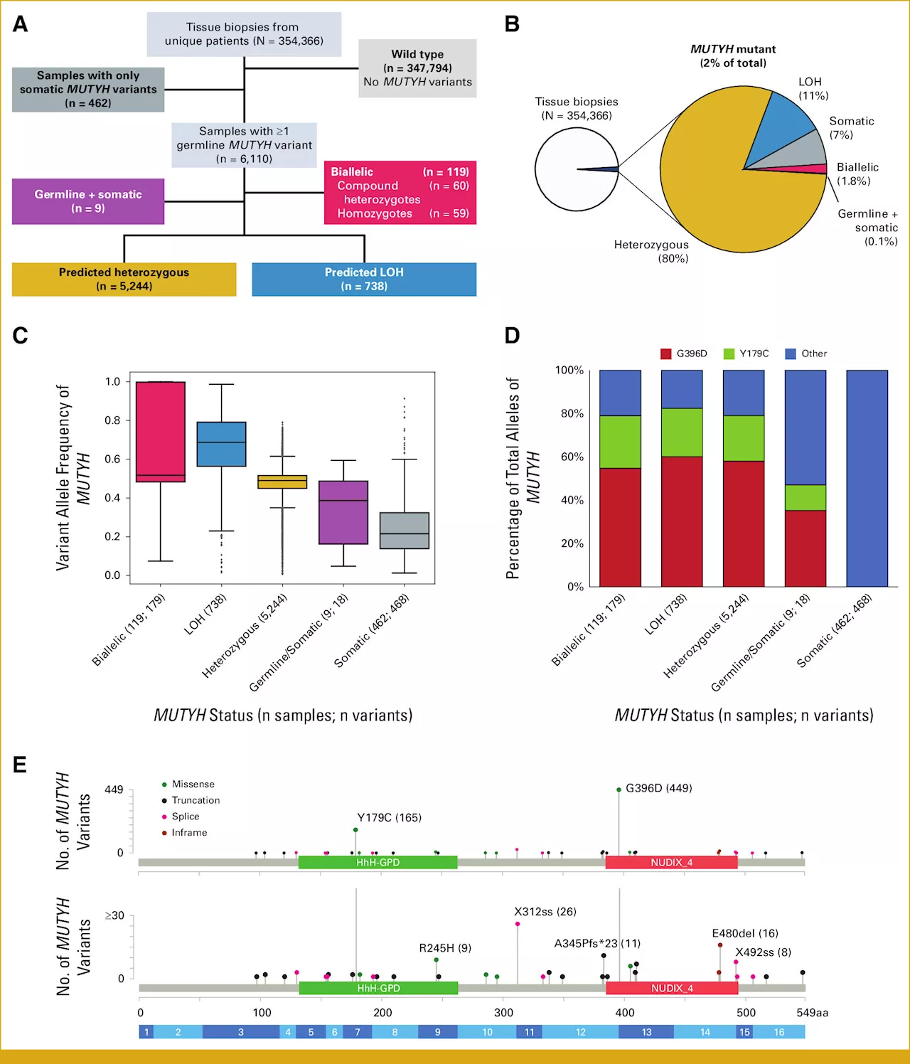 Colorectal cancer gene implicated in broad range of solid tumors