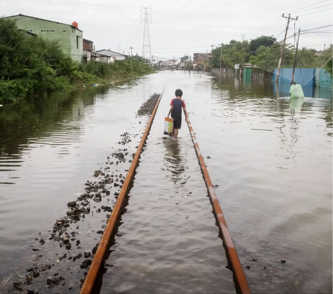 Jokowi Ungkap Penyebab Banjir Besar di Demak: Hujan Sangat Ekstrem Bikin Tanggul Jebol