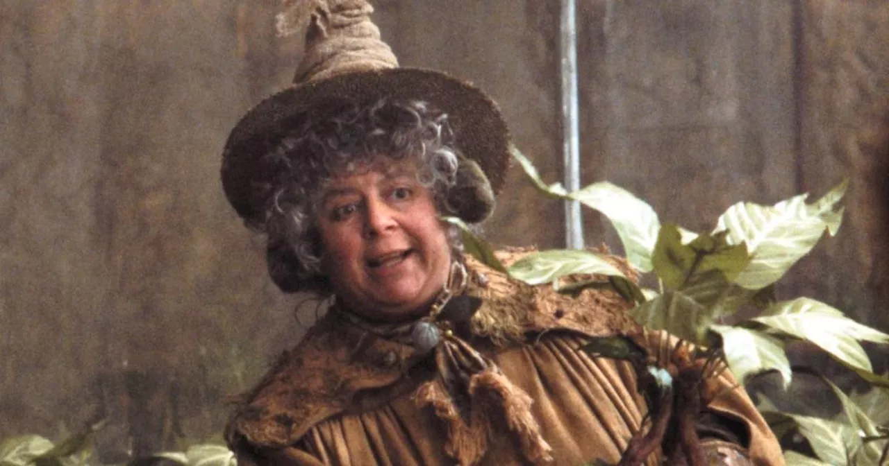 Harry Potter star hits back at Miriam Margolyes over 'terrible' opinion