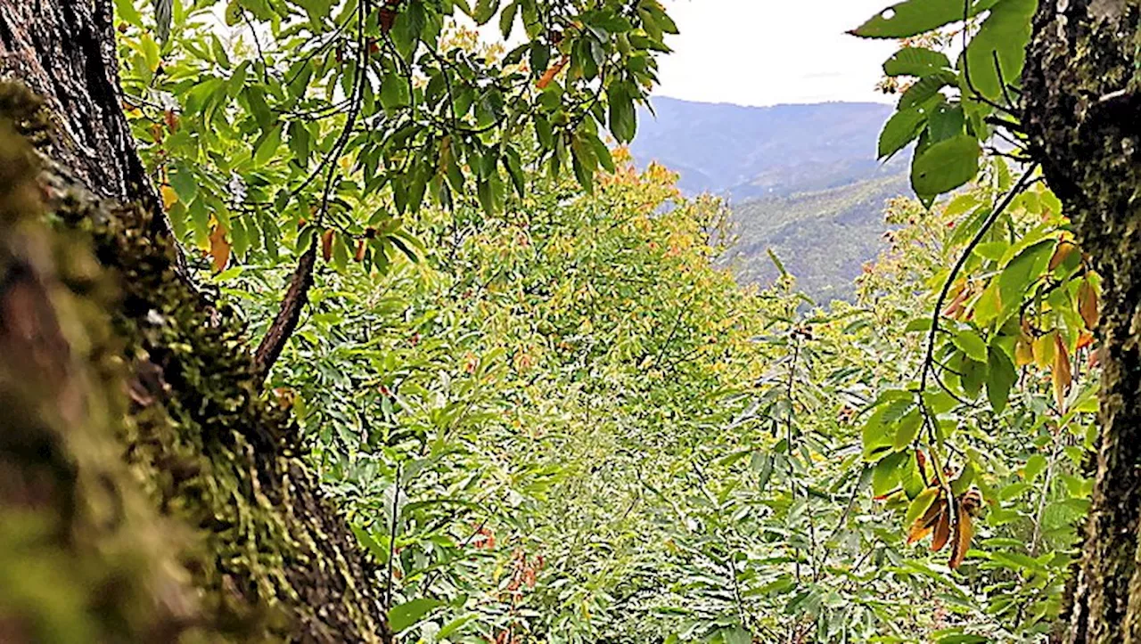 Les administrateurs approuvent le rapport d’activité 2023 du Parc national des Cévennes