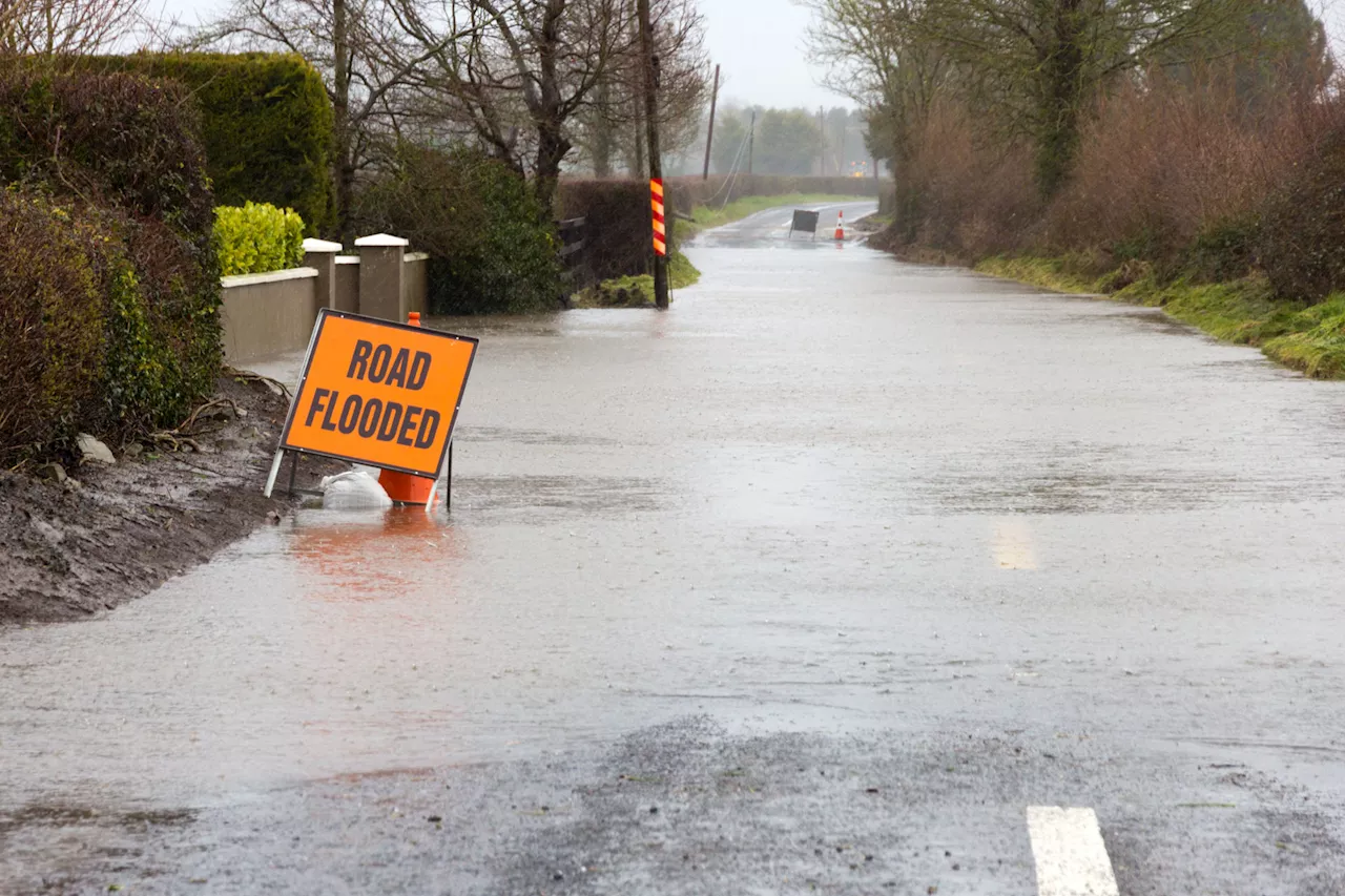 Rainfall tourism ‘could be a winner’ as research shows it can treat depression