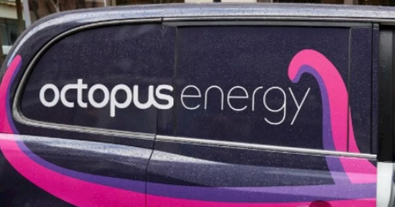 Octopus Energy issues £80 saving advice to its millions of customers