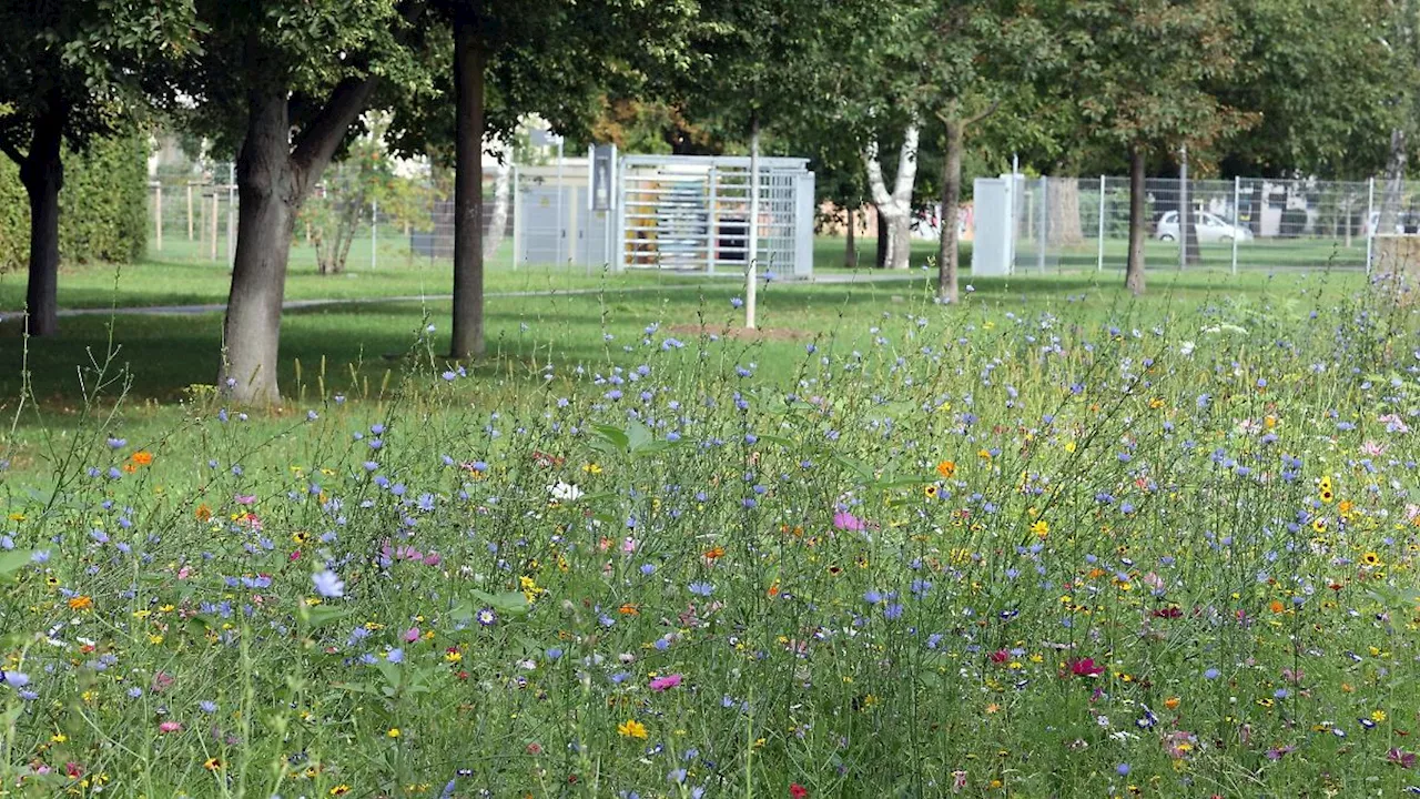 Thüringen: Bewerbung für Thüringer Naturschutzpreis möglich