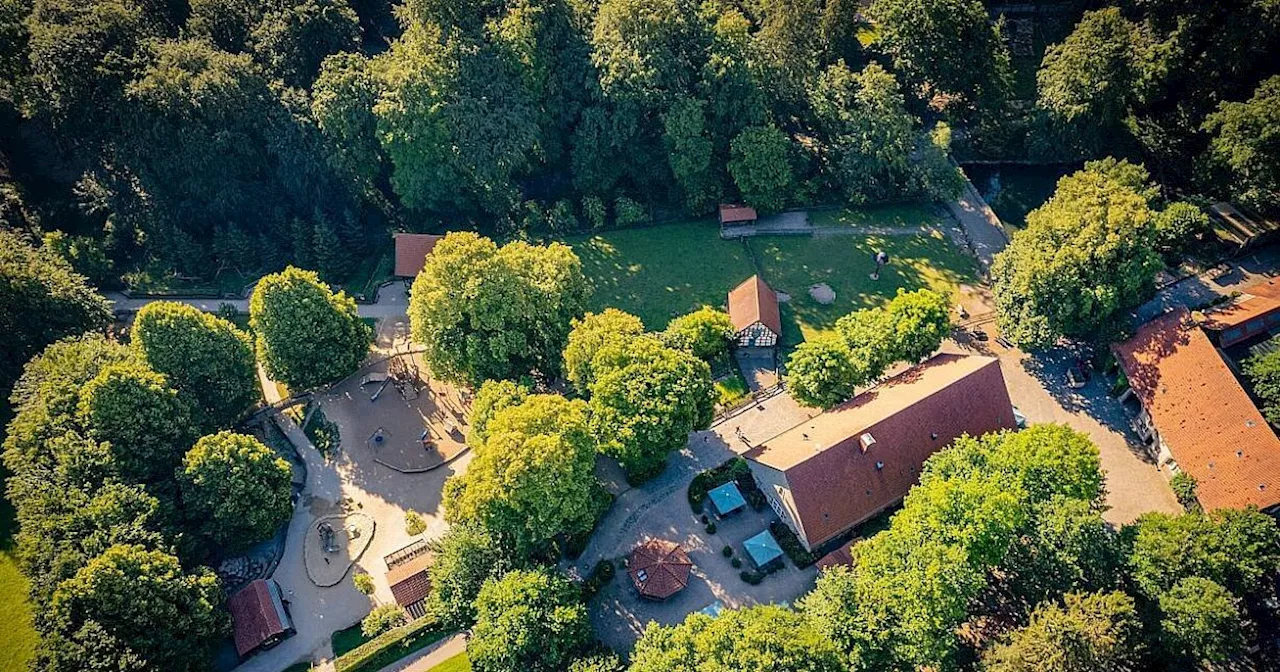 Das sind die neuen Bewohner im Bielefelder Tierpark Olderdissen