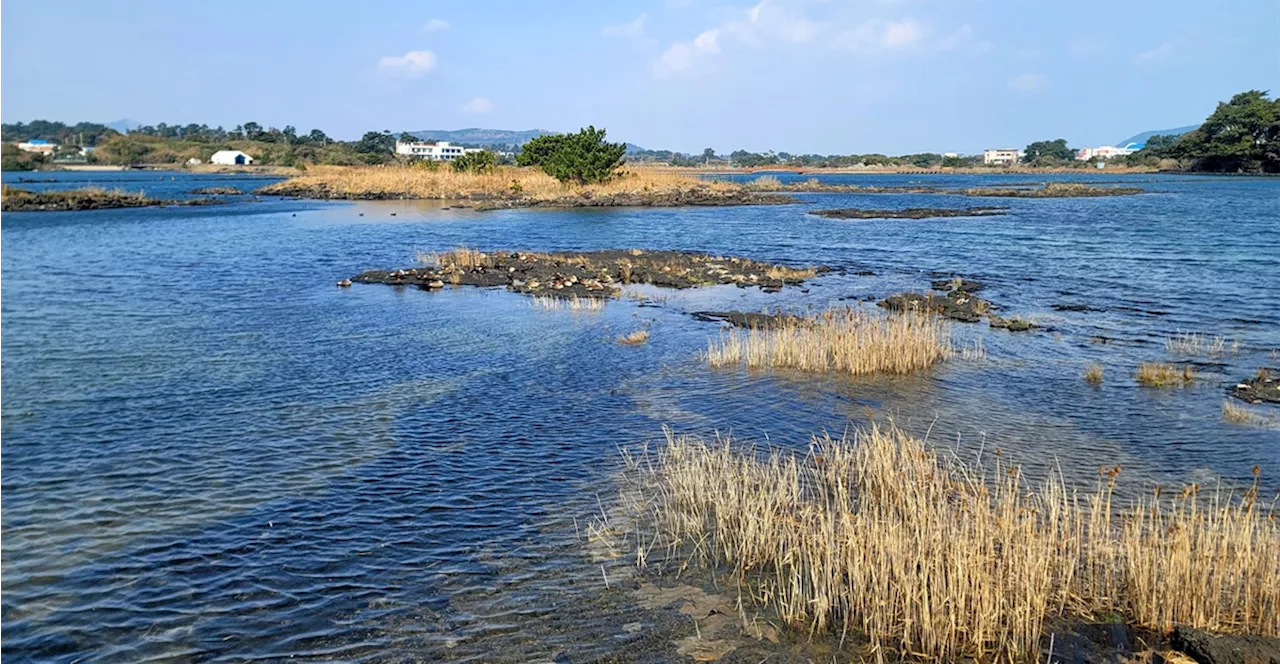 성산일출봉 배경으로 인생샷 찍고 싶다면