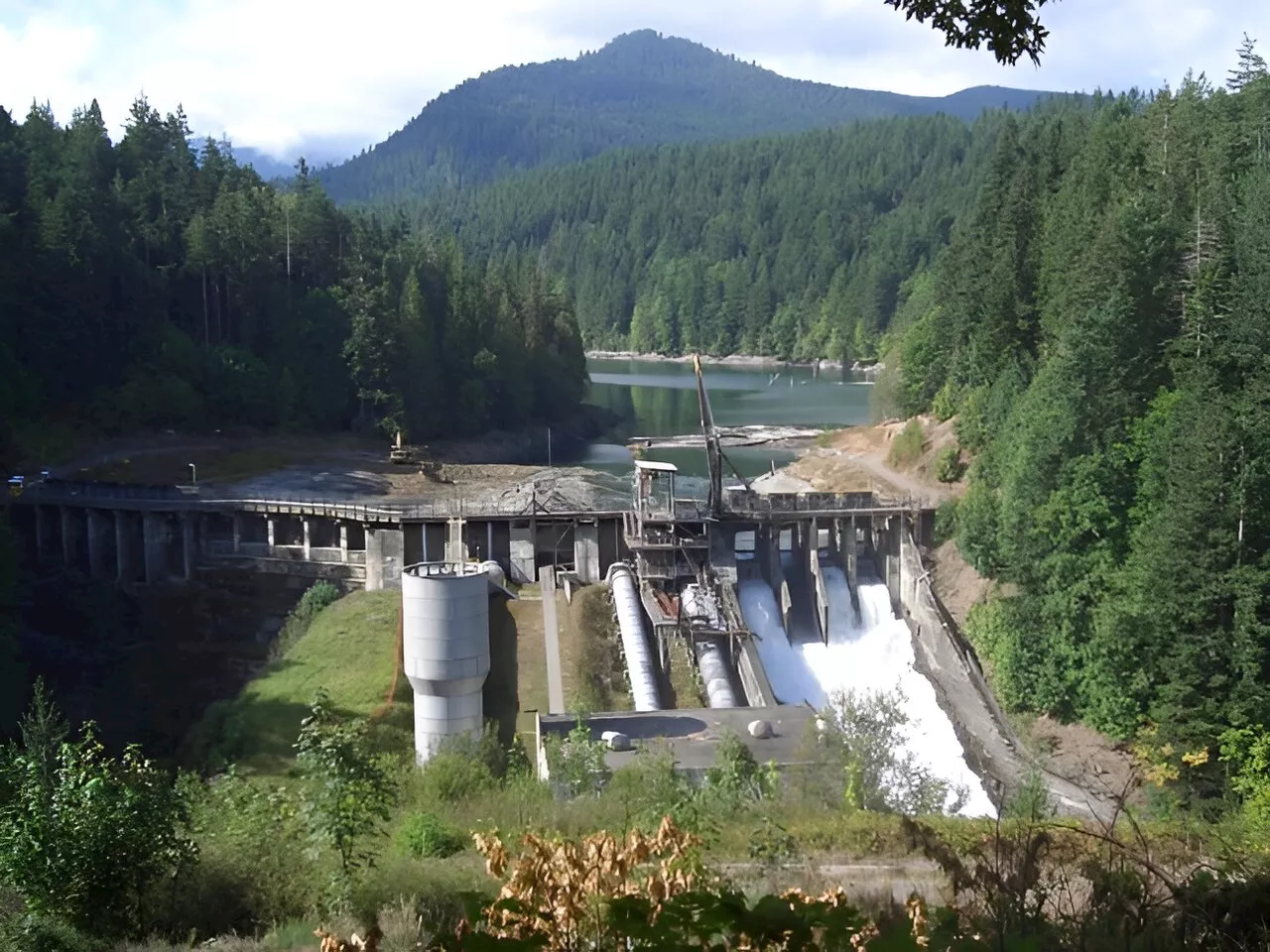 Dam removal spurs the return of salmon, and a local tribe's hopes of sustainable fishing