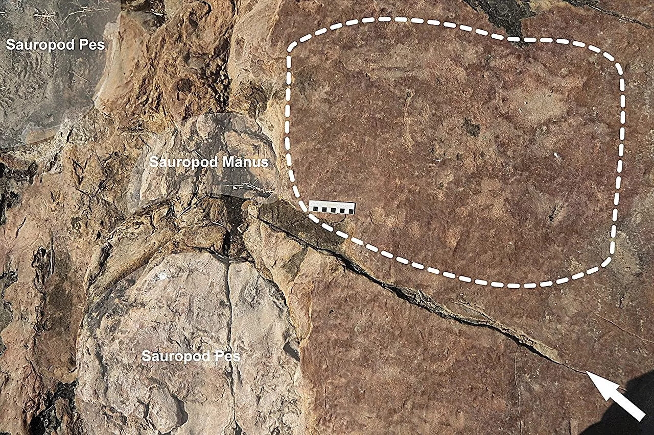 Dig site findings suggests ancient artists may have been inspired by preserved dinosaur footprints