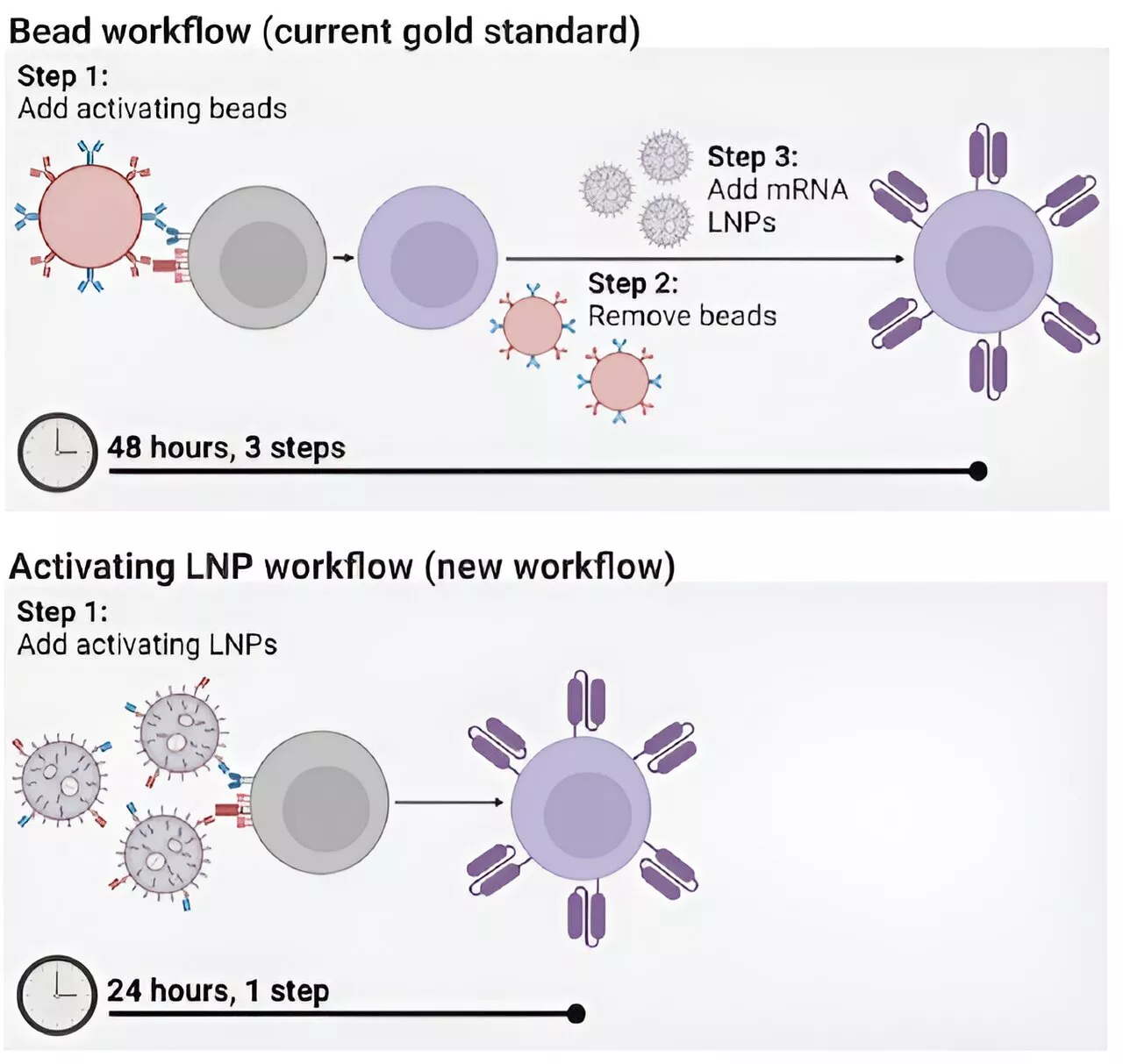 Engineers develop novel method for manufacturing CAR T cells using lipid nanoparticles