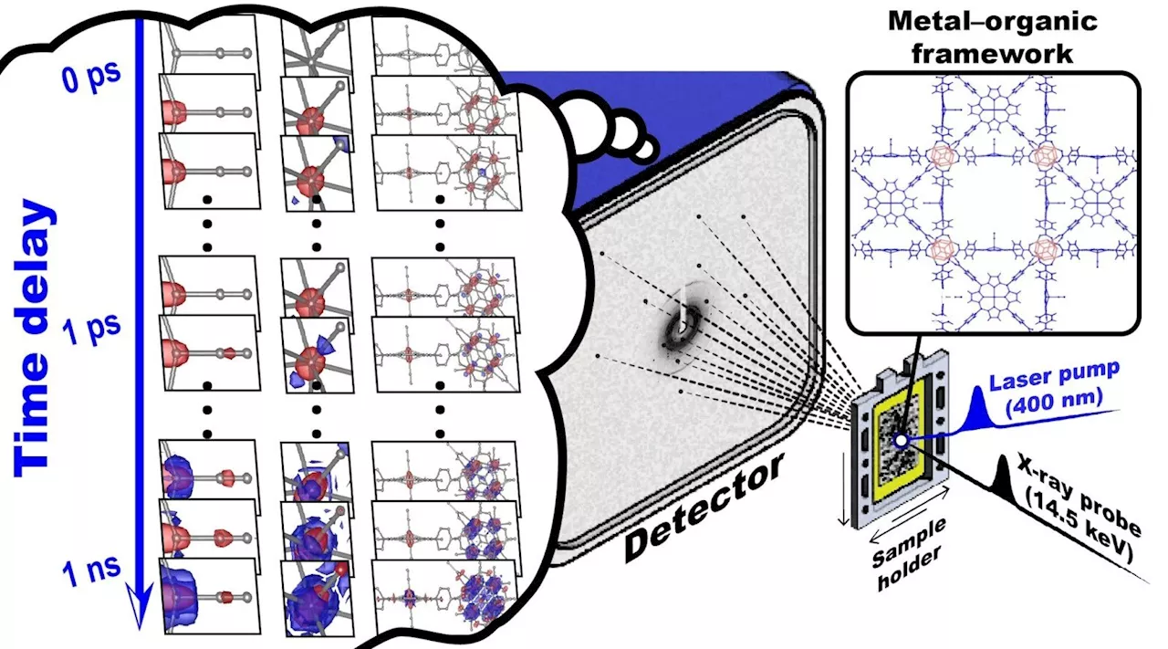 Filming ultrafast molecular motions in single crystal