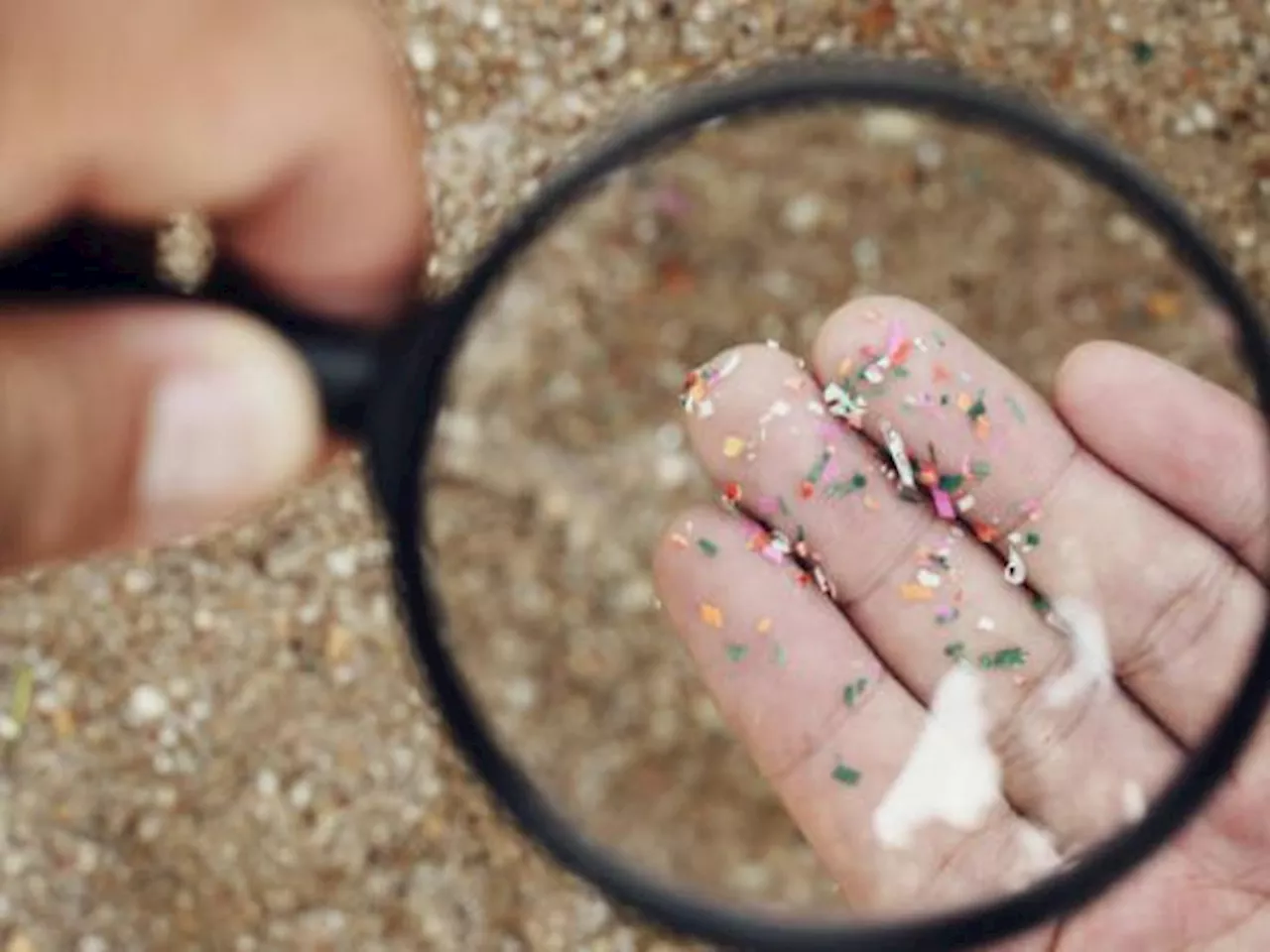 Cuál es el alcance que está teniendo la contaminación por microplásticos