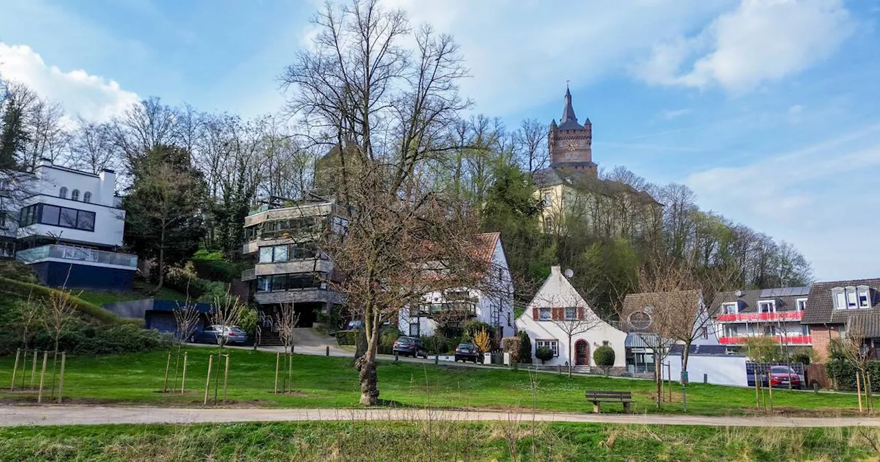 Kleve: Zehn neue Kirschbäume am Kermisdahl gepflanzt​