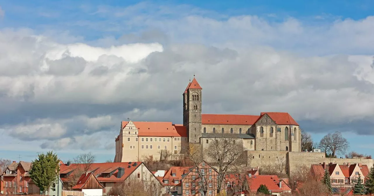 Quedlinburg​: Pfarrer verliert wegen Kandidatur auf AfD-Liste Stellung​