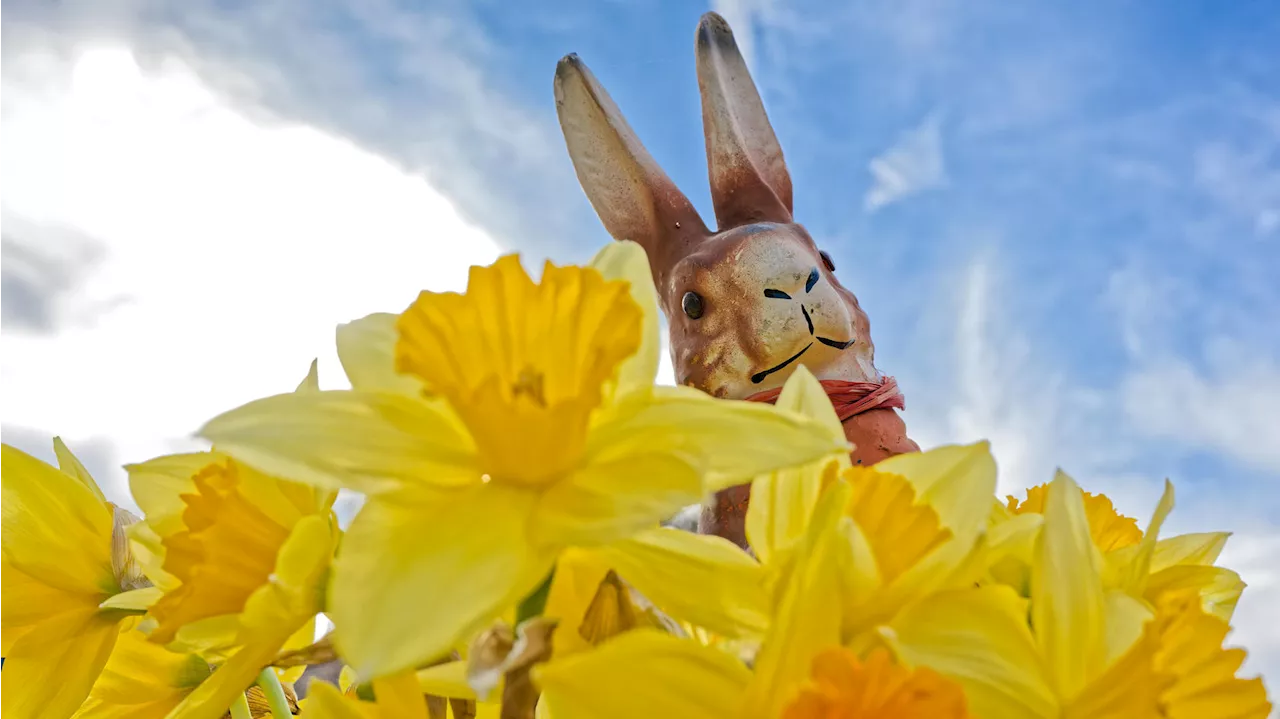 Frühlingswetter an Ostern 2024: Prognosen zeigen warme Temperaturen und Sonnenschein