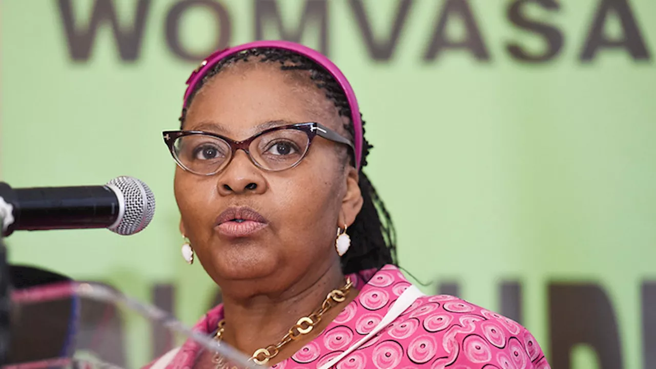 NPA planned Mapisa-Nqakula arrest before raid: Advisor - SABC News - Breaking news, special reports, world,