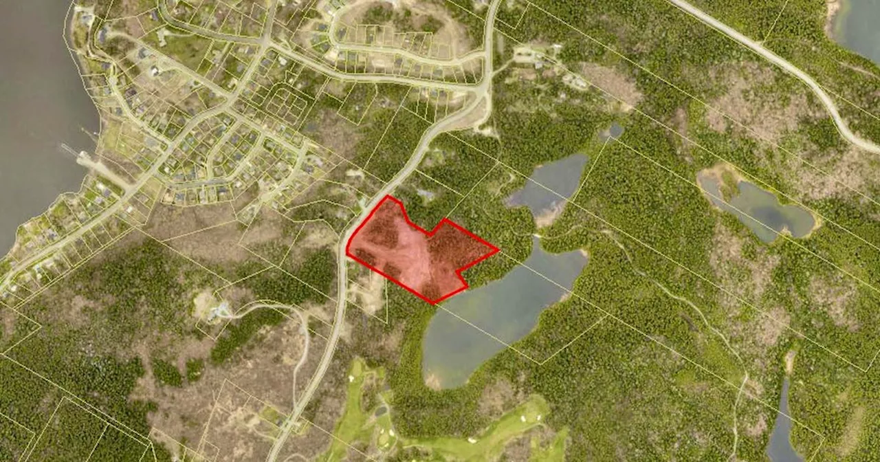 Residents object after Rockwood Park parcel listed as surplus land in Saint John