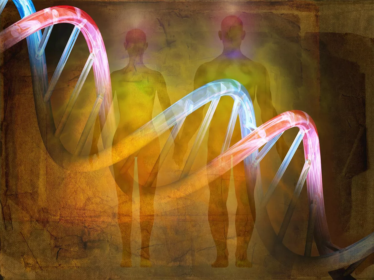 Becoming Human: What Ancient DNA Tells Us About Who We Are