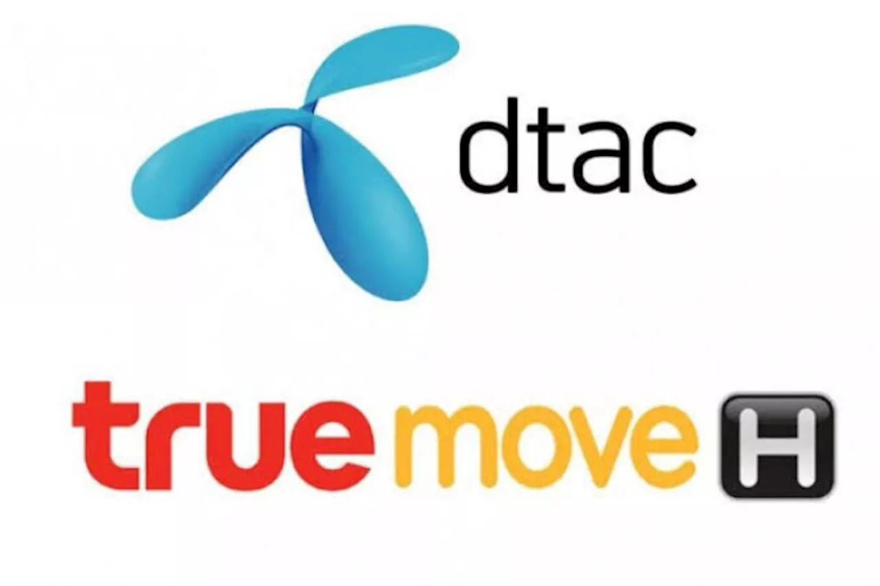 TRUE ยืนยัน ศาลปกครองสูงสุด สั่งรับคดีค้านควบรวม DTAC ไม่กระทบธุรกิจ