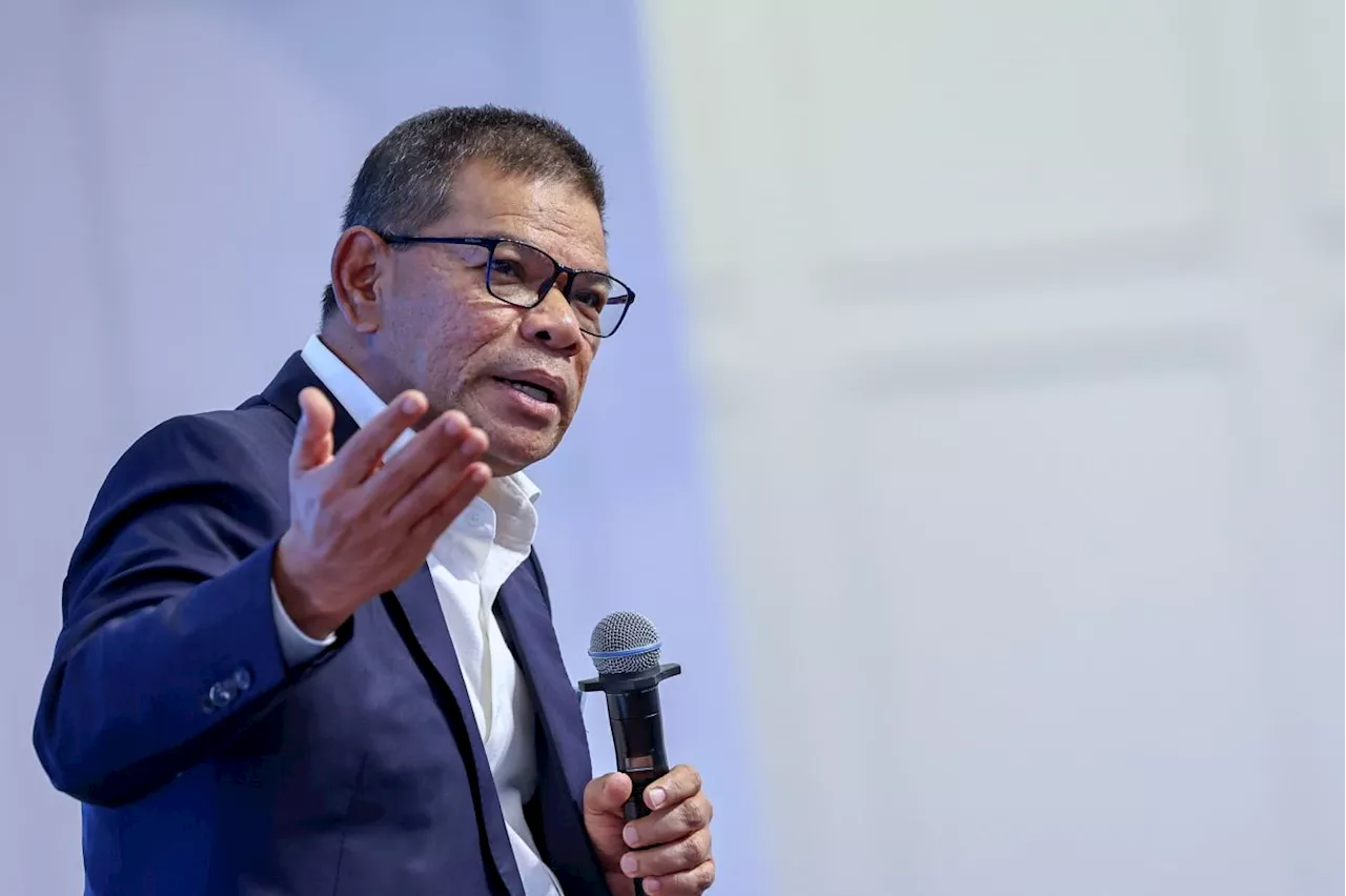 Constitutional citizenship amendment will not be retrospective, says Saifuddin