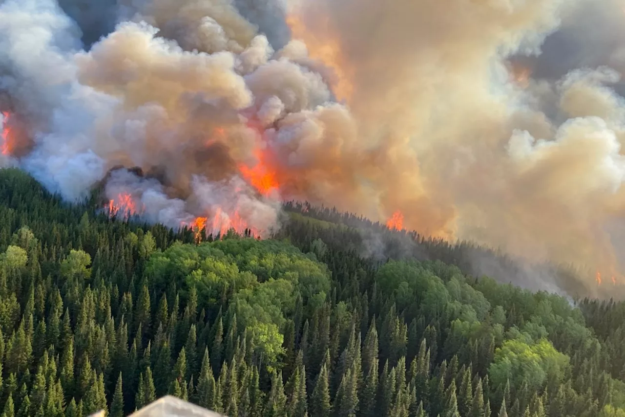 Reaction mixed as Ontario pledges $5M to retain forest fire workers