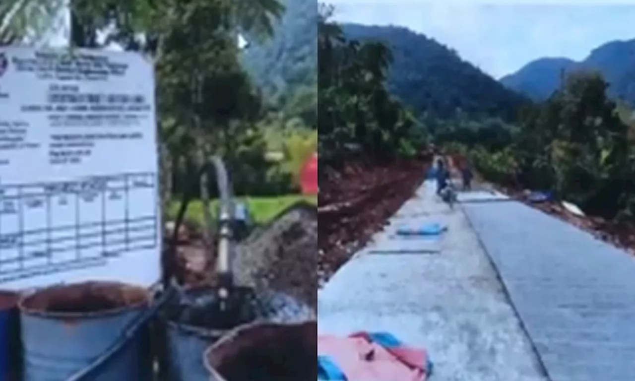 Illegal road works?: Alarm raised over road development within watershed areas in Barangay Carmen