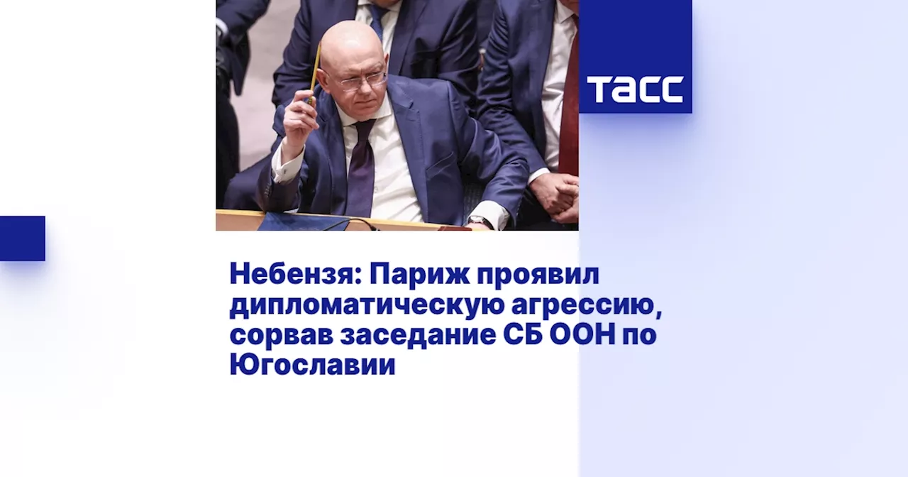 Небензя: Париж проявил дипломатическую агрессию, сорвав заседание СБ ООН по Югославии