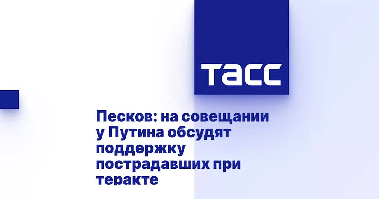 Песков: на совещании у Путина обсудят поддержку пострадавших при теракте