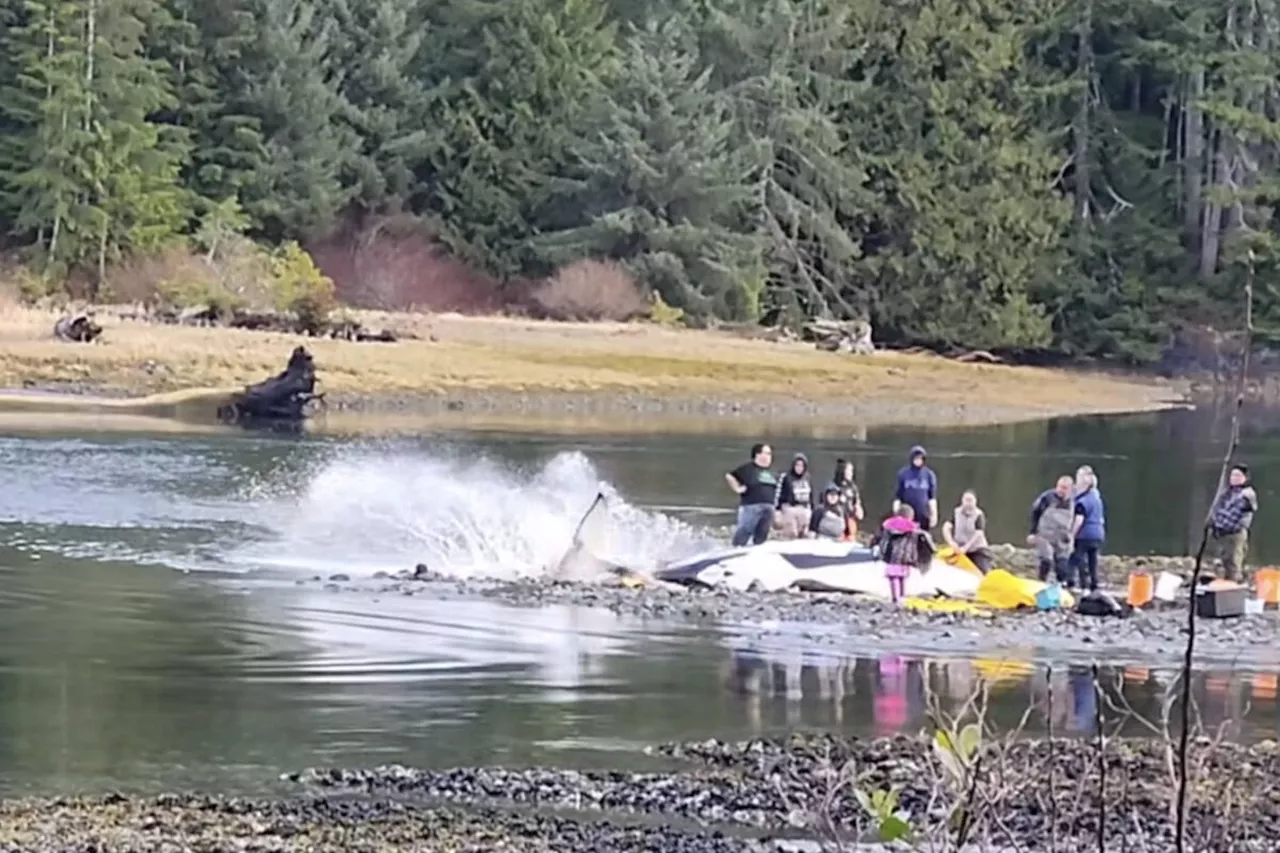 DFO trying to return young whale to pod after beached mother died on Vancouver Island