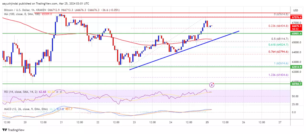 ราคา Bitcoin มุ่งเป้าไปที่การกลับตัวที่สำคัญเนื่องจากการลดลงกลายเป็นสิ่งที่น่าสนใจ