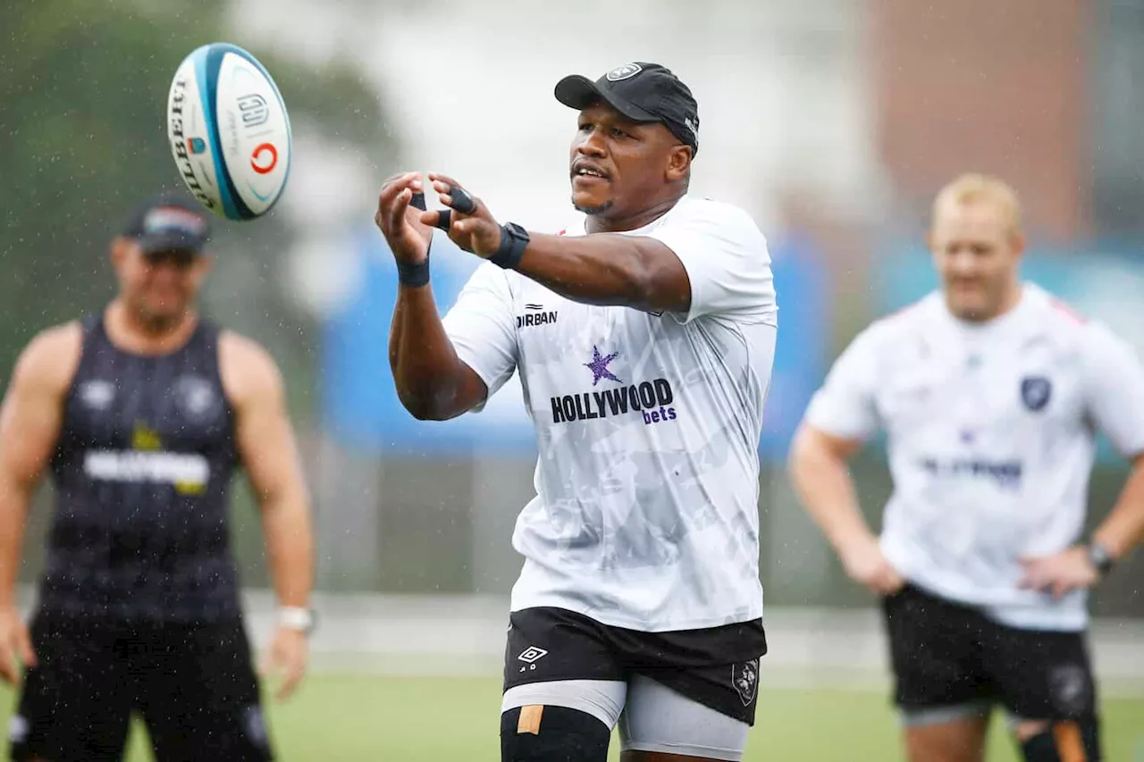 Sharks have big role to play as Bulls, Stormers, Lions eye URC playoffs