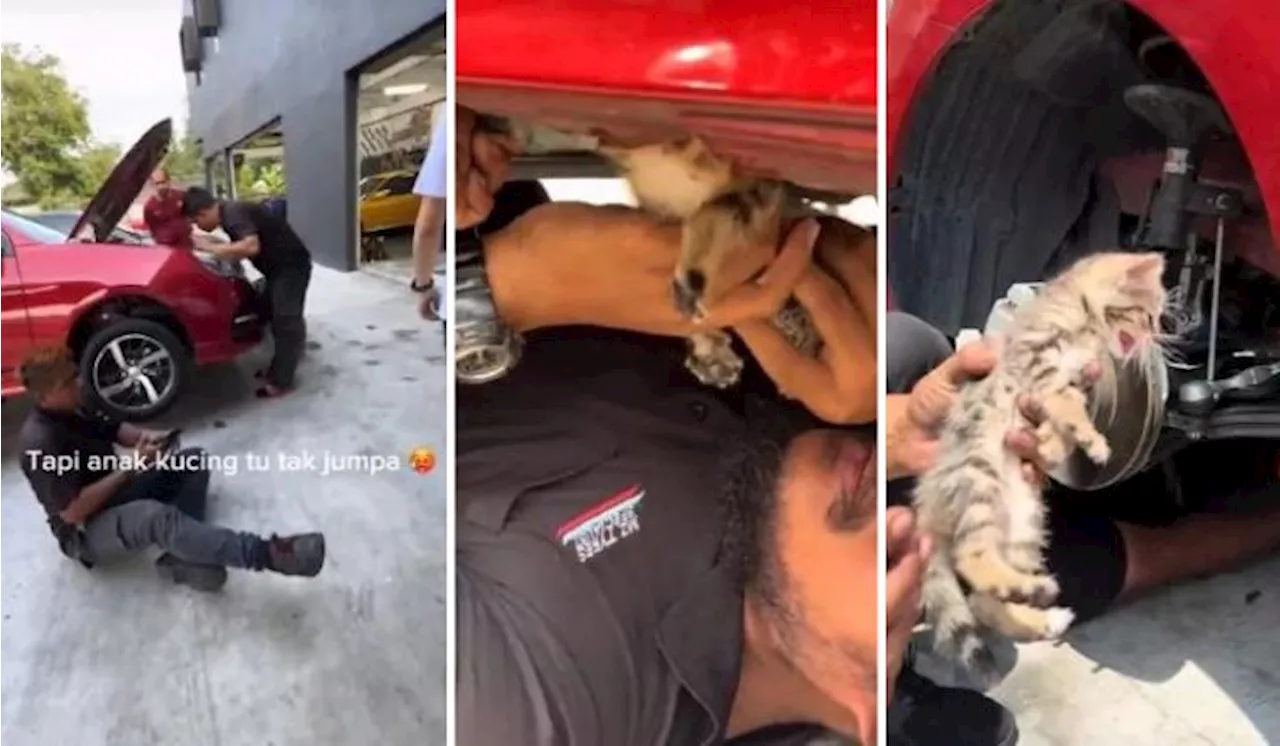 [Watch] Proton Meow: Elusive Kitten Sees Car Owner Making Two Trips To The Mechanic To Get Him Out