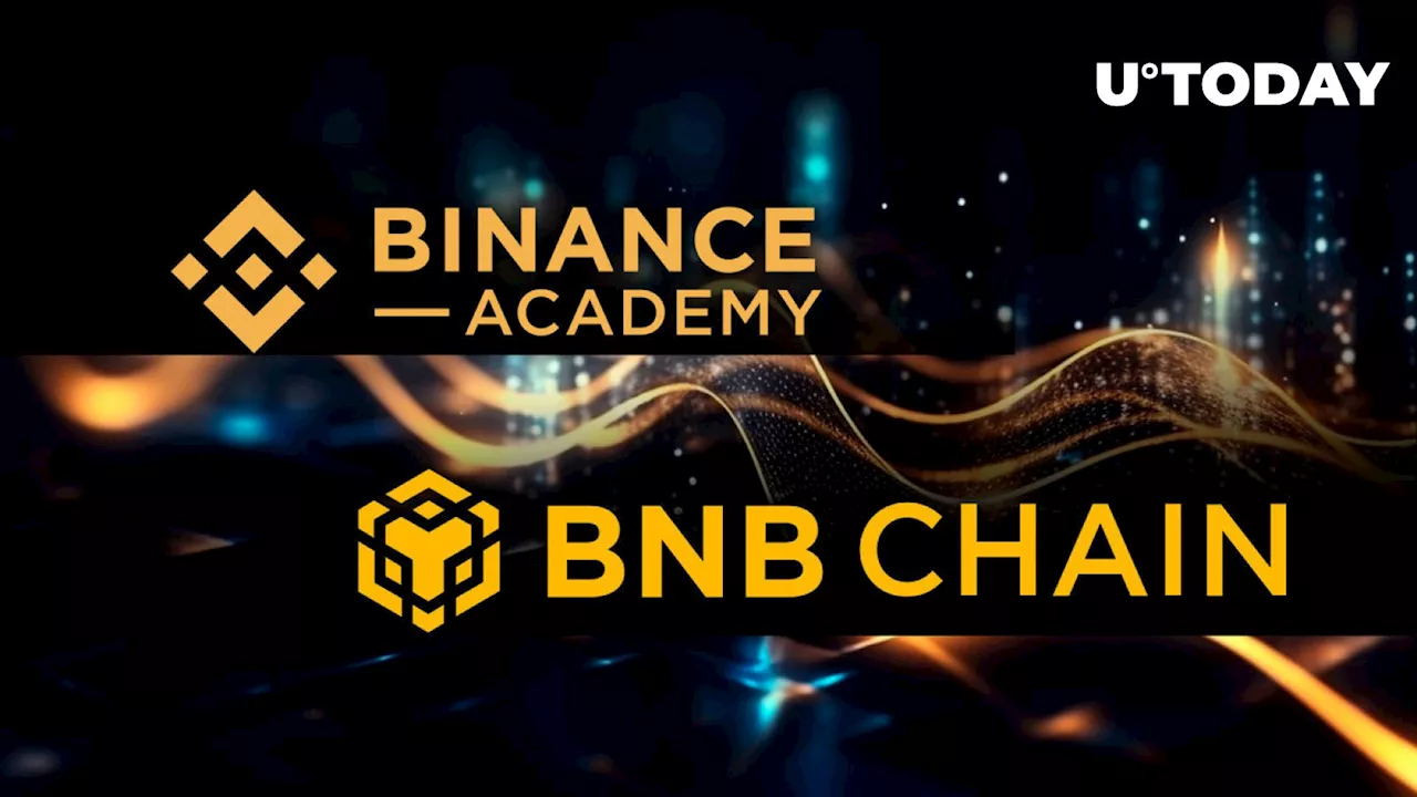 Binance Academy, BNB Chain Launch New BNB Chain Developer Specialization Program