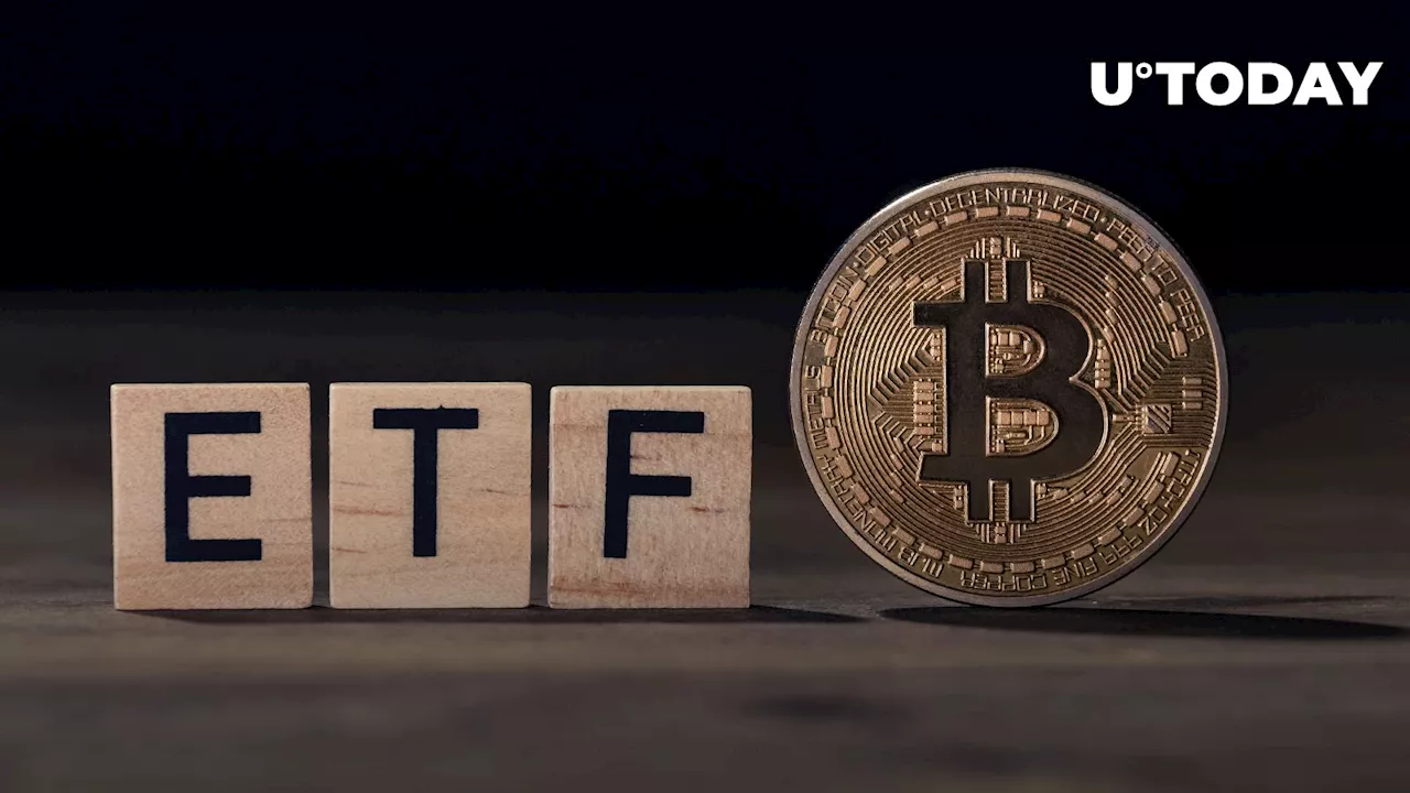 The Game is Far from Over for Bitcoin ETFs, Says ETF Industry Expert