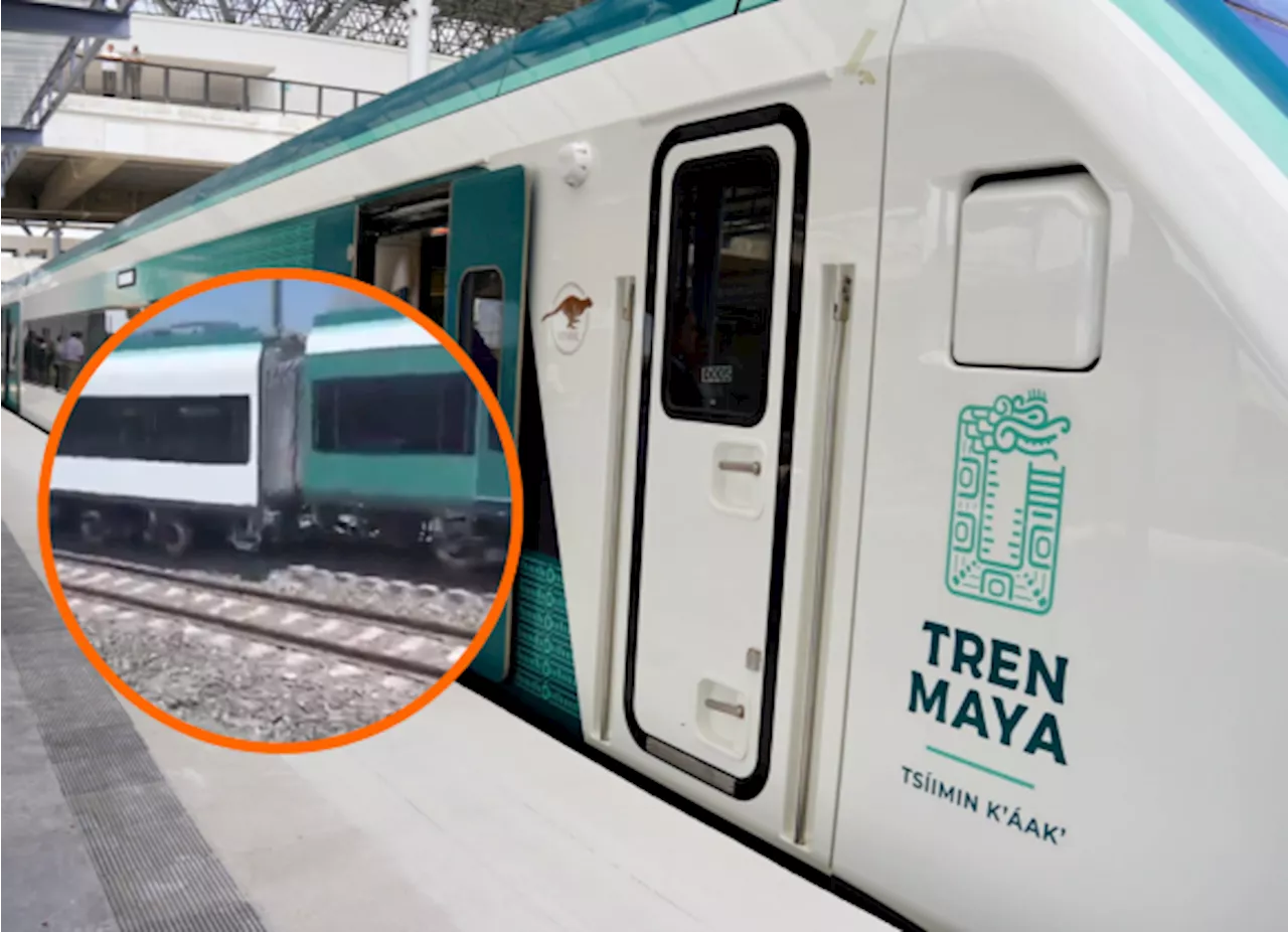 Vagón del Tren Maya se descarrila en su recorrido Campeche - Cancún; esto es lo que se sabe hasta el momento