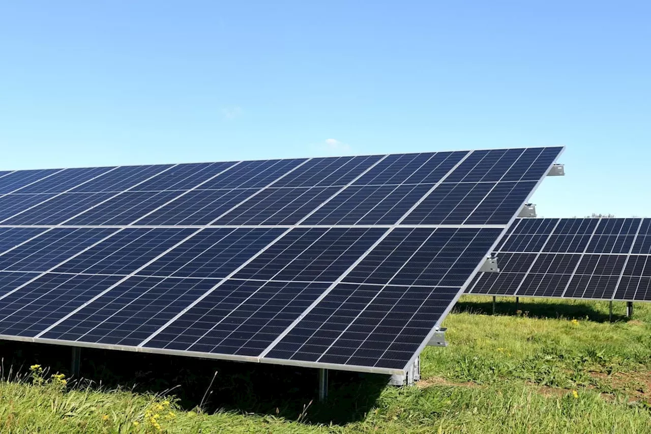 Carr House Solar Farm: Plans submitted for 55-hectare solar farm in Yorkshire countryside